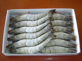 thai-shrimp-prawn (17)