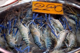thai-shrimp-prawn (6)