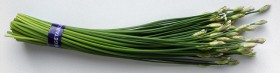 chinese-chives