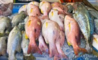 Как выбрать самую свежую рыбу на базаре 