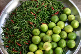lime (4)
