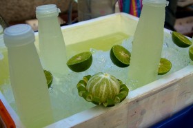 lime (9)