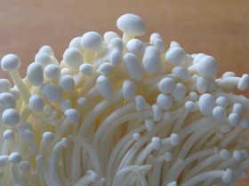 enoki