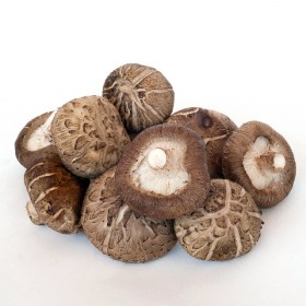 shiitake