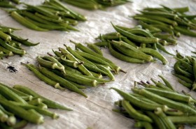 okra-bamiya (2)