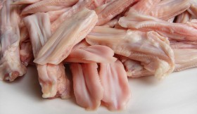 duck-tongue