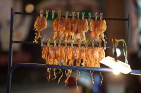 dried-squid (5)