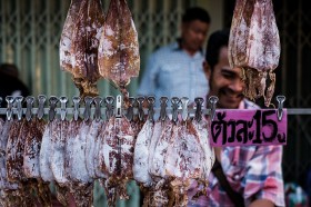 dried-squid (8)