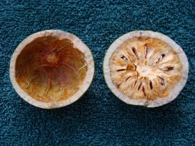 bael-fruit (2)