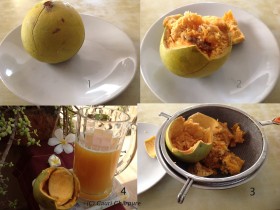 bael-fruit (8)