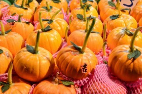 chinese-new-year-food (11)