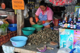 thai-clams (2)