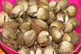 thai clams-4