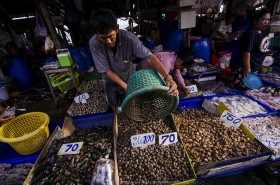 thai-clams (8)