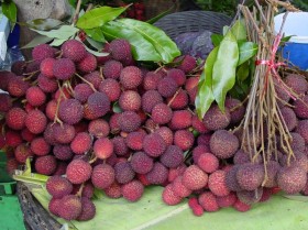 lichi (1)