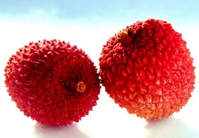 lichi (2)