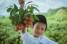 lichi (7)