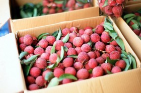 lichi (8)