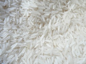 ris-zhasmin