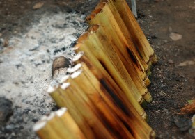 ris-v-bambuke-kao-lam (4)