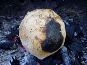 Roasted Coconut Juice