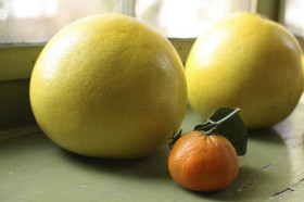 pomelo-6