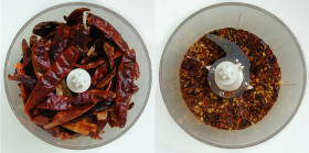 xlopya-chili