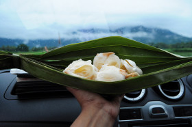 plod-saharnoy-palmy-toddy-palm-fruit (11)