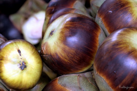 plod-saharnoy-palmy-toddy-palm-fruit (4)