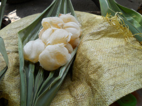plod-saharnoy-palmy-toddy-palm-fruit (7)