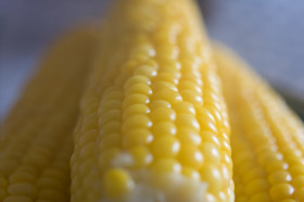 7535413104_e76ddbabc6_b