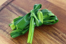 Pandan leaves screw pine leaves