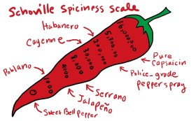 blog_pepper