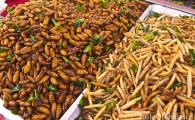 Жареные кузнечики, гусеницы и прочие насекомые Жареные кузнечики, гусеницы и прочие насекомые